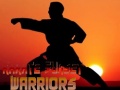 Játék Karate Sunset Warriors