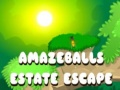 Játék Amazeballs Estate Escape