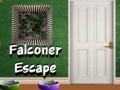 Játék Falconer Escape