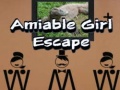 Játék Amiable Boy Escape