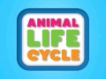 Játék Animal Life Cycle