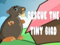 Játék Rescue The Tiny Bird