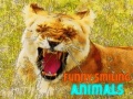 Játék Funny Smiling Animals