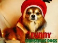 Játék Funny Christmas Dogs