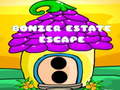 Játék Bonzer Estate Escape