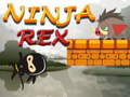 Játék Ninja Rex