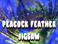 Játék Peacock Feather Jigsaw