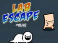 Játék Lab Escape Online