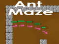 Játék Ant maze