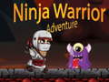 Játék Ninja Warrior Adventure