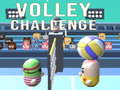 Játék Volley Challenge