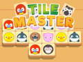 Játék Tile Master Match