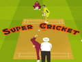 Játék Super Cricket 
