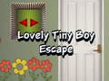 Játék Lovely Tiny Boy Escape