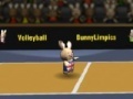Játék Bunny volleyball