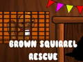 Játék Brown Squirrel Rescue