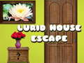 Játék Lurid House Escape