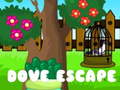 Játék Dove Escape
