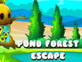 Játék Pond Forest Escape