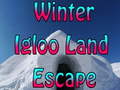 Játék Winter Igloo Land Escape 