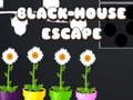 Játék Black House Escape