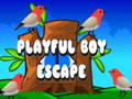 Játék Playful Boy Escape