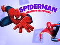 Játék Spiderman Memory Matching