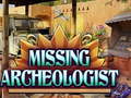 Játék Missing Archeologist