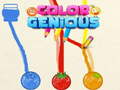 Játék Color Genious