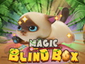 Játék Magic Blind Box