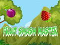 Játék Fruit Smash Master 