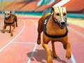 Játék Dogs3D Races