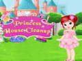 Játék Princess House Cleanup