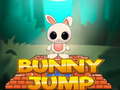 Játék Bunny Jump