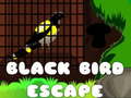 Játék Black Bird Escape