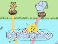 Játék Brain Master IQ Challenge