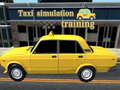 Játék Taxi simulation training