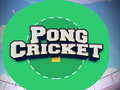 Játék Pong Cricket