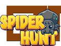 Játék Spider Hunt