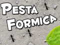 Játék Pesta Formica