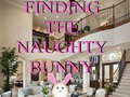 Játék Finding The Naughty Bunny