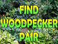 Játék Find Woodpecker Pair 