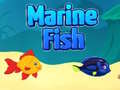 Játék Marine Fish