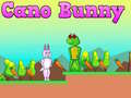 Játék Cano Bunny