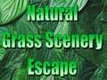 Játék Natural Grass Scenery Escape