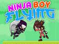 Játék Ninja Boy Flying