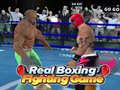 Játék Real Boxing Fighting Game