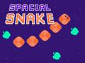Játék Spacial Snake