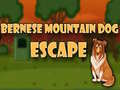 Játék Bernese Mountain Dog Escape