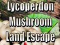 Játék Lycoperdon Mushroom Land Escape